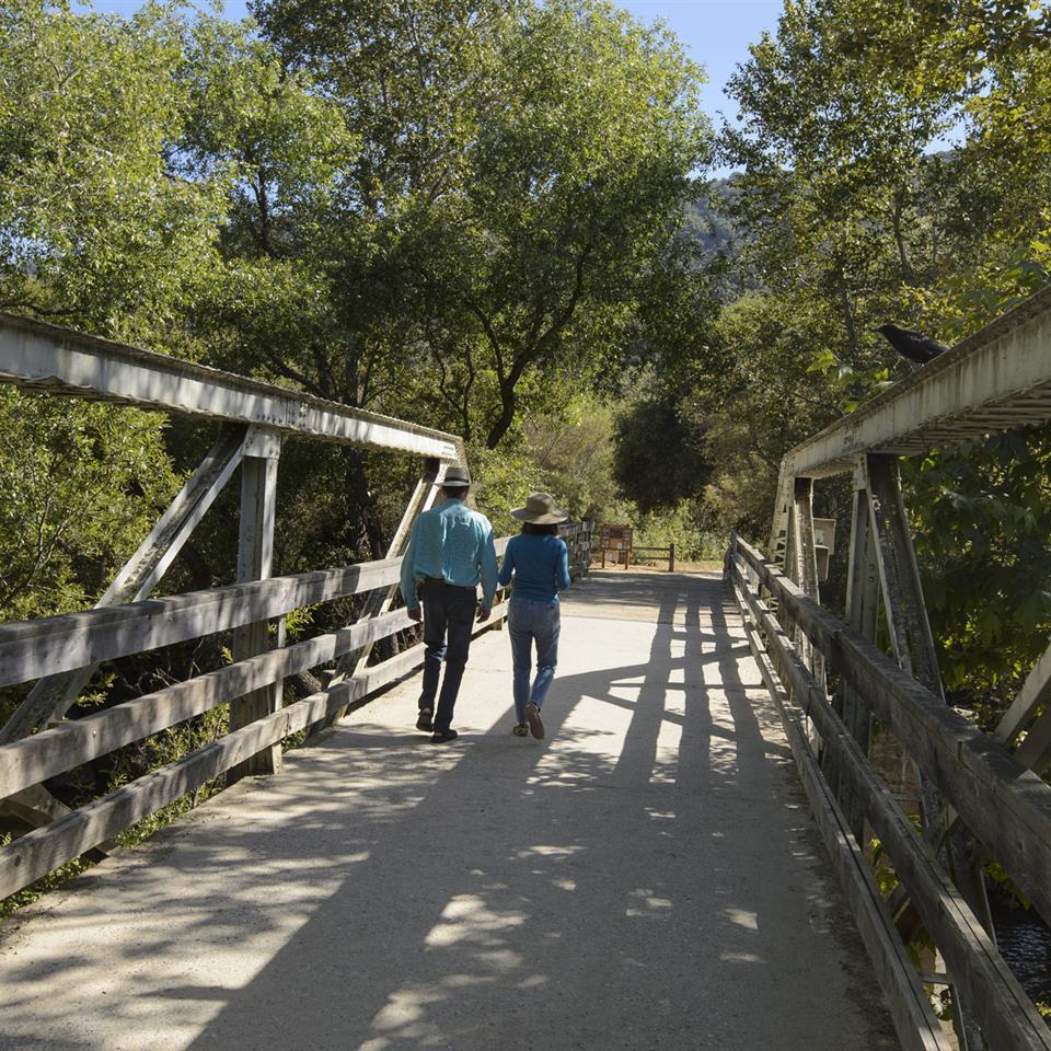 Carmel Valley 8