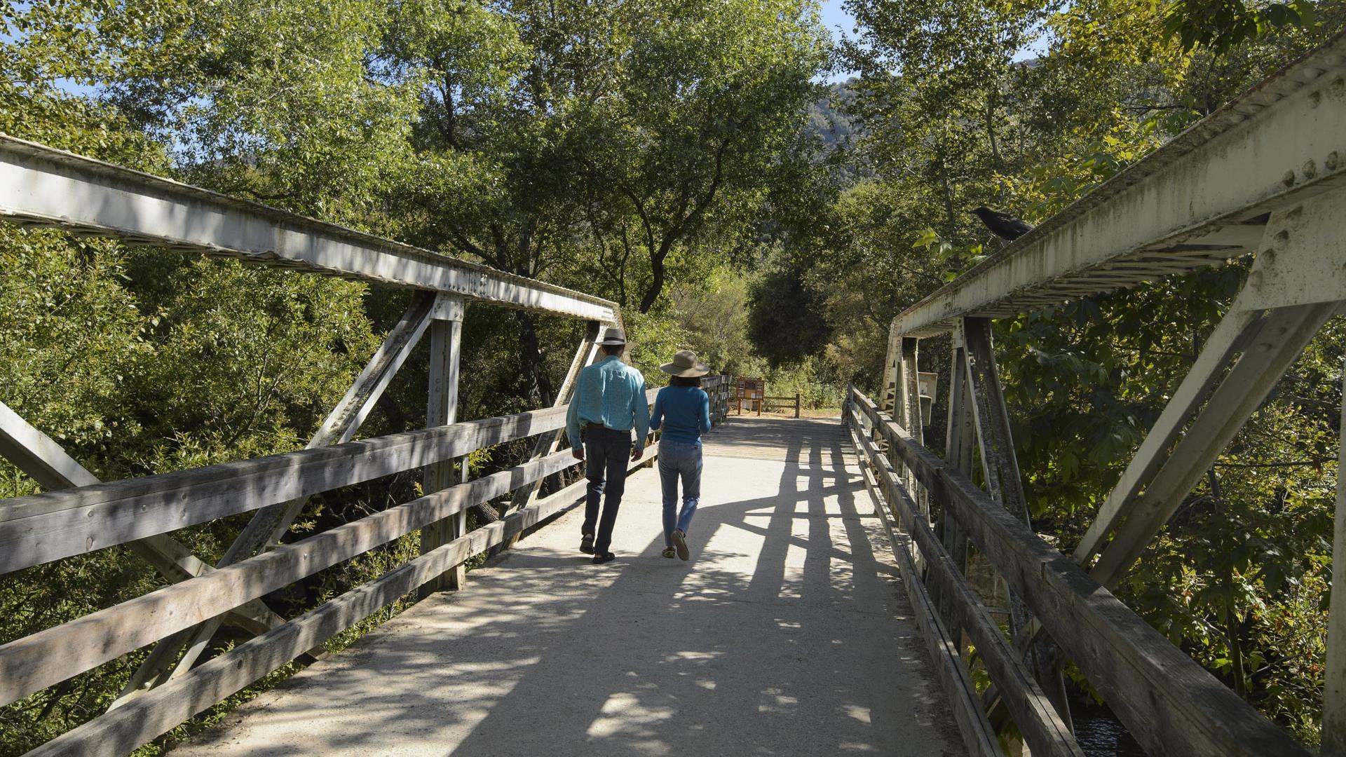 Carmel Valley 8