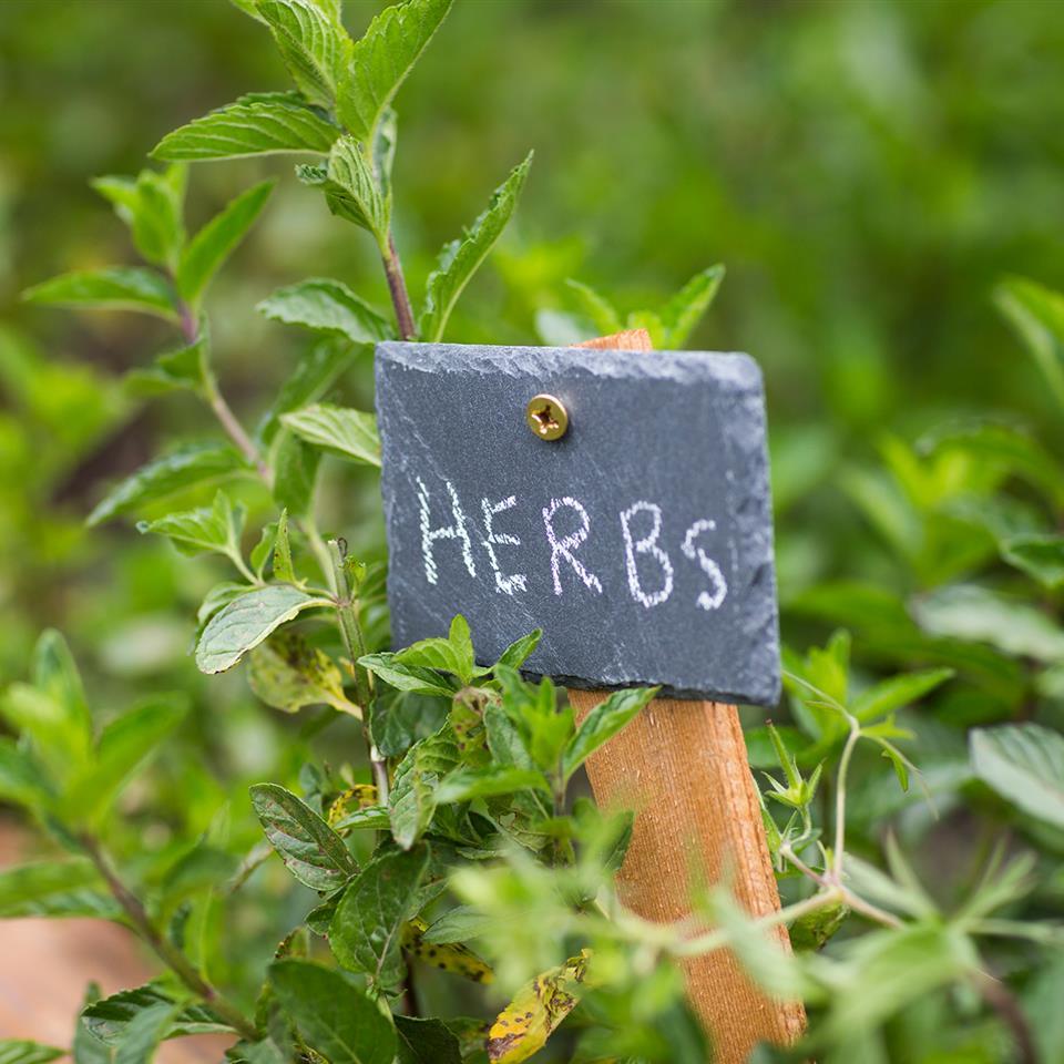 Herbs